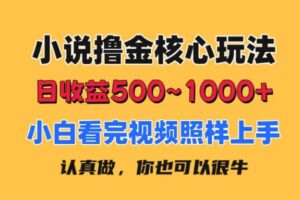 （11461期）小说撸金核心玩法，日收益500-1000+，小白看完照样上手，0成本有手就行