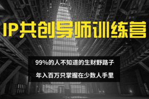 （12504期）IP共创导师训练营 99%的人不知道的生财野路子 只掌握在少数人手里