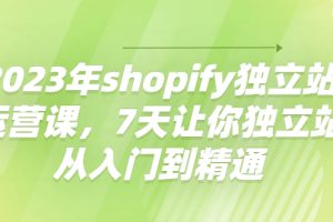 （4230期）2023年shopify独立站运营课，7天让你独立站从入门到精通