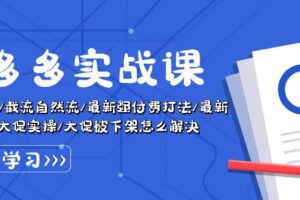 （10865期）拼多多·实战课：万人团玩法/截流自然流/最新强付费打法/最新原价卡大促..