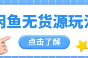 2024闲鱼新玩法，无货源运营新手日赚300+【视频教程】