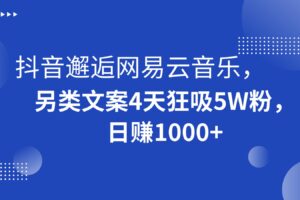 抖音邂逅网易云音乐，另类文案4天狂吸5W粉，日赚1000+