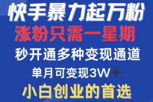 （12651期）快手暴力起万粉，涨粉只需一星期，多种变现模式，直接秒开万合，小白创…