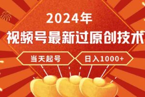 （9565期）2024年视频号最新过原创技术，当天起号，收入稳定，日入1000+