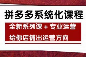 （4259期）车神陪跑，拼多多系统化课程，全新系列课+专业运营给你店铺出运营方向