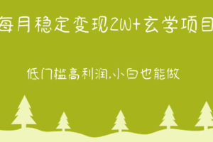 每月稳定变现2W+玄学项目，低门槛高利润,小白也能做 教程+详解