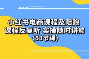 (10170期）小红书电商课程及陪跑 课程反复听 实操随时讲解 （53节课）