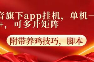 抖音旗下app自动挂机，单机一天收益25+，可多开矩阵