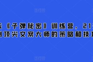 21天《子弹秘密》训练营，21天学到顶尖文案大师的策略和技巧