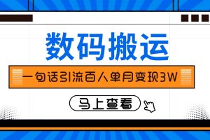 （8129期）仅靠一句话引流百人变现3万？