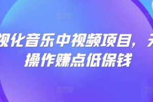 可视化音乐中视频项目，无脑操作赚点低保钱