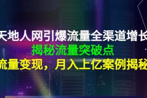 （4173期）天地人网引爆流量全渠道增长：揭秘流量突然破点，流量变现，月入上亿案例