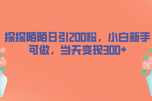 （6817期）探探陌陌日引200粉，小白新手可做，当天就能变现300+