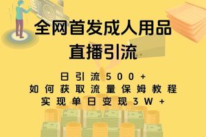 （8193期）最新全网独创首发，成人用品直播引流获客暴力玩法，单日变现3w保姆级教程