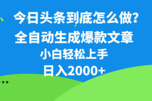 （10541期）今日头条最新最强连怼操作，10分钟50条，真正解放双手，月入1w+