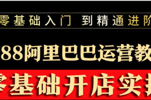 （3349期）阿里巴巴1688运营推广教程新手开店诚信通装修培训视频