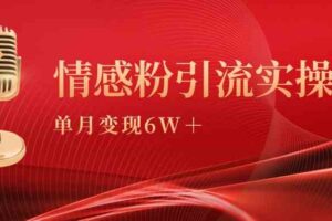 （9473期）单月变现6w+，情感粉引流变现实操课