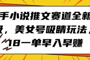 （9776期）快手小说推文赛道全新升级，美女号吸睛玩法，18一单早入早赚