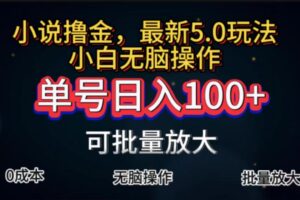 （11651期）全自动小说撸金，单号日入100+小白轻松上手，无脑操作