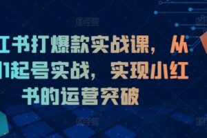 小红书打爆款实战课，从0到1起号实战，实现小红书的运营突破