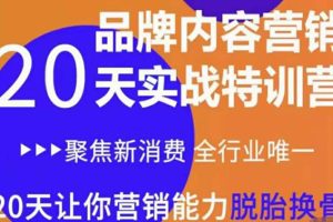 （3461期）《内容营销实操特训营》20天让你营销能力脱胎换骨（价值3999）