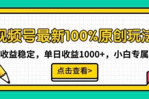 （9070期）视频号最新100%原创玩法，收益稳定，单日收益1000+，小白专属