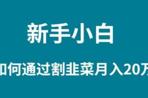 （9308期）新手小白如何通过割韭菜月入 20W