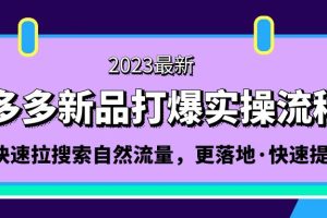 （5036期）拼多多-新品打爆实操流程：轻松快速拉搜索自然流量，更落地·快速提升!