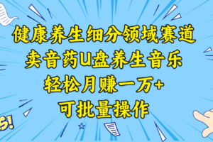 （8503期）健康养生细分领域赛道，卖音药U盘养生音乐，轻松月赚一万+，可批量操作