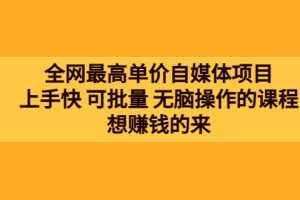 （3557期）全网最单高价自媒体项目：上手快 可批量 无脑操作的课程，想赚钱的来