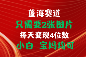 （11047期）只需要2张图片 每天变现4位数 小白 宝妈均可