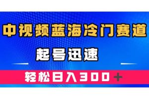 （7449期）中视频蓝海冷门赛道，韩国视频奇闻解说，起号迅速，日入300＋