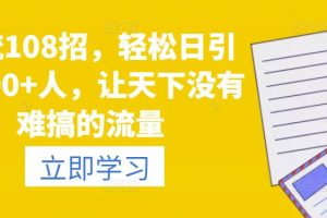 引流108招，轻松日引流100+人，让天下没有难搞的流量