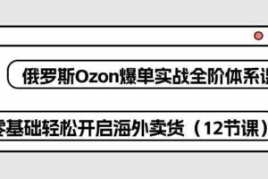 俄罗斯Ozon爆单实战全阶体系课，零基础轻松开启海外卖货（12节课）