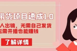 图文带货项目速成1.0：无需真人出镜，无需自己发货，无需开播也能赚钱！