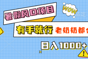 （11375期）暑假风口项目，有手就行，老奶奶都会，轻松日入1000+