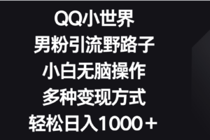 QQ小世界男粉引流野路子，小白无脑操作，多种变现方式轻松日入1000＋