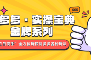 （4934期）拼多多·实操宝典：金牌系列“小白到高手”带你全方位玩转拼多多各种玩法