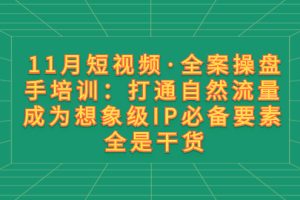 （8182期）11月短视频·全案操盘手培训：打通自然流量 成为想象级IP必备要素 全是干货