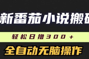 （11904期）最新番茄小说搬砖，日撸300＋！全自动操作，可矩阵放大