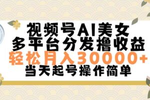 （11684期）视频号AI美女，轻松月入30000+,操作简单轻松上手