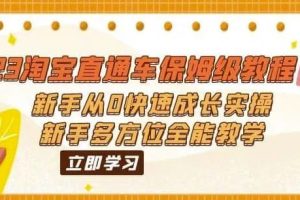 （6484期）2023淘宝直通车保姆级教程：新手从0快速成长实操，新手多方位全能教学