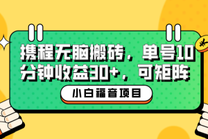 （6450期）小白新手福音：携程无脑搬砖项目，单号操作10分钟收益30+，可矩阵可放大