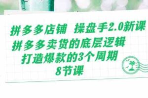 拼多多店铺操盘手2.0新课，拼多多卖货的底层逻辑，打造爆款的3个周期（8节）