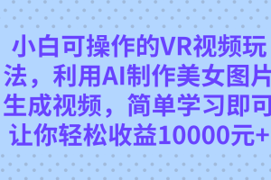 （7452期）小白可操作的VR视频玩法，利用AI制作美女图片生成视频，你轻松收益10000+