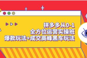 （3408期）拼多多从0-1全方位运营实操班：爆款玩法+成交高峰黑车玩法