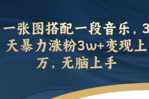 （7674期）一张图搭配一段音乐，3天暴力涨粉3w+变现上万，无脑上手