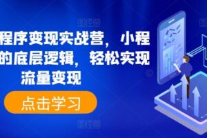 抖音小程序变现实战营，小程序变现的底层逻辑，轻松实现流量变现