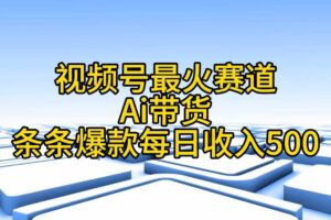 （11038期）视频号最火赛道——Ai带货条条爆款每日收入500