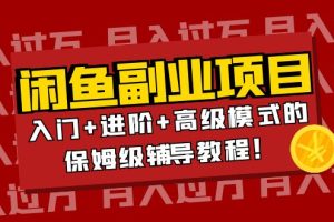 （3879期）月入过万闲鱼副业项目：入门+进阶+高级模式的保姆级辅导教程！